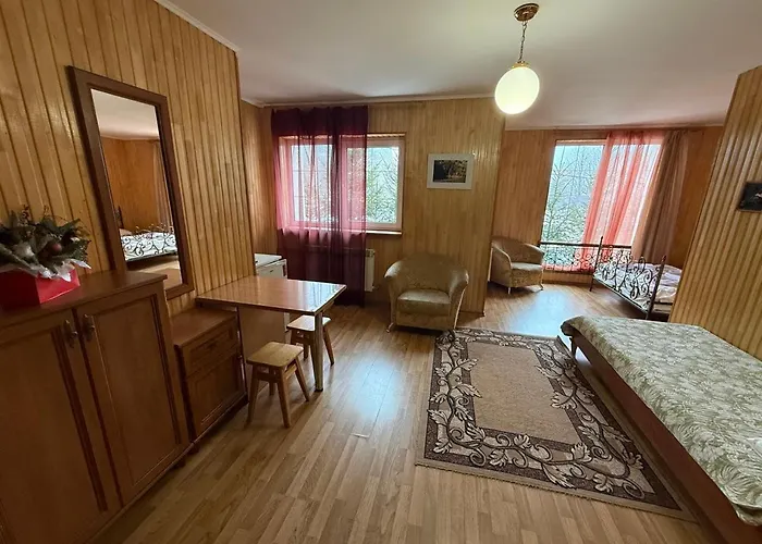 Hotel Palas Tatariv *