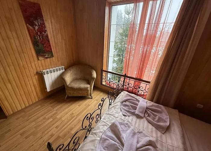 Hotel Palas Tatariv *